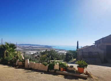 Palma de Montechiaro : Visite guidée avec dégustation et déjeuner