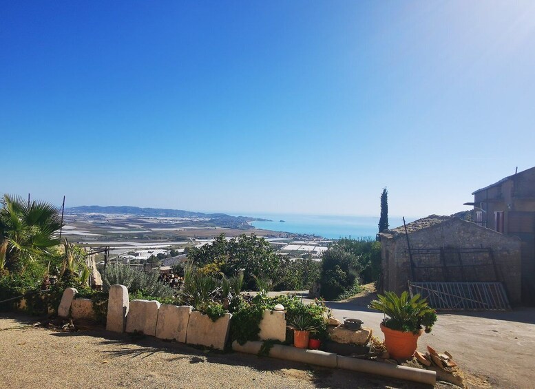 Palma de Montechiaro: Guided Tour with Tasting and Lunch