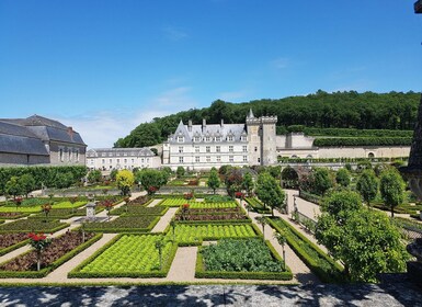 Amboisesta: Villandry, Azay-le-Rideau & Viinitila