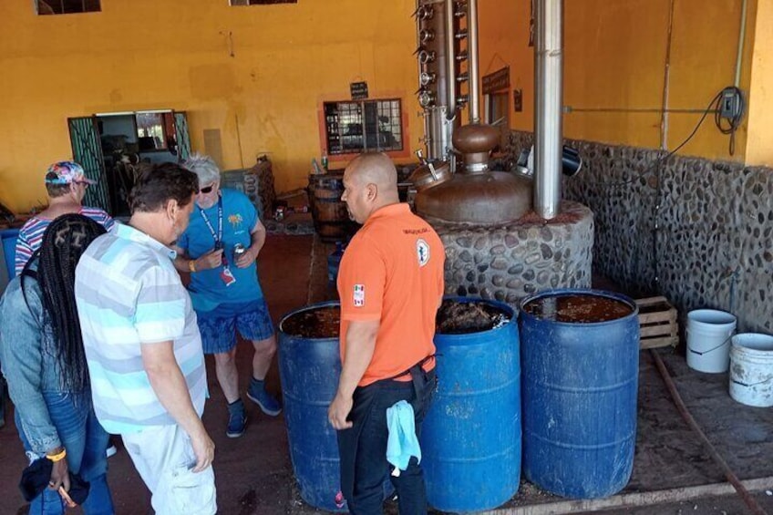 Mezcal Food Tasting Tour with Lunch Included