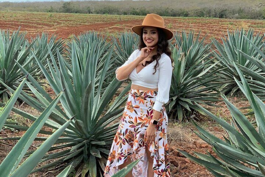 Mezcal Food Tasting Tour with Lunch Included