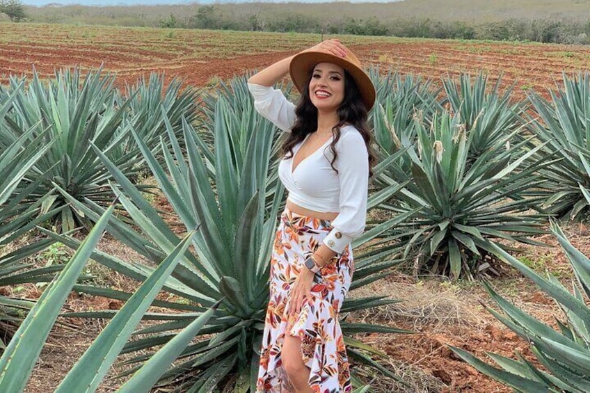Mezcal Food Tasting Tour with Lunch Included