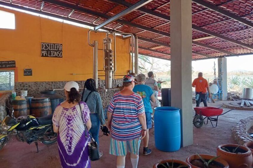 Mezcal Food Tasting Tour with Lunch Included