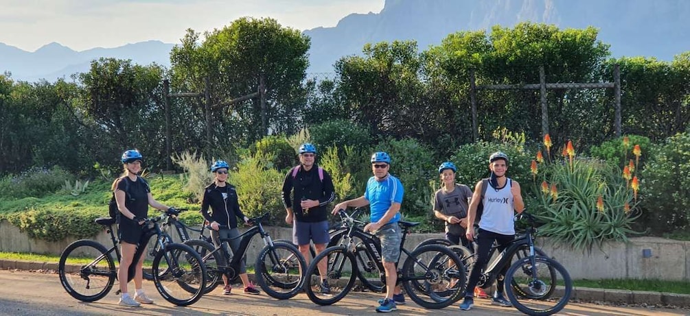 Picture 8 for Activity From Stellenbosch: E-Bike Tour with Wine Tasting and Lunch