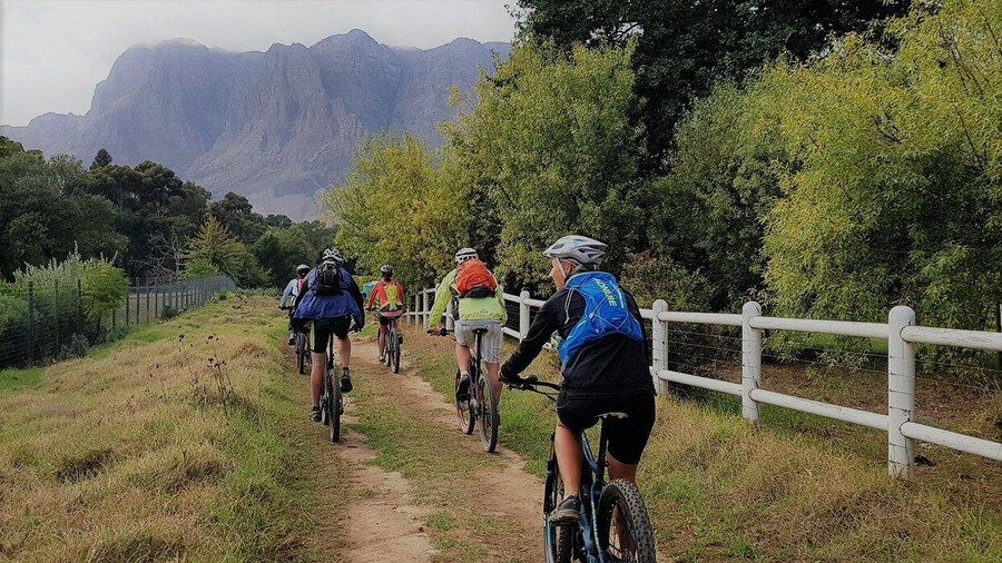 Franschhoek: E-bike Tour with Wine Tasting and Lunch