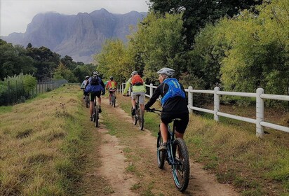 Franschhoek: Elsykkeltur med vinsmaking og lunsj