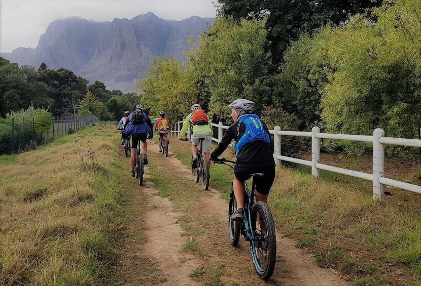 From Stellenbosch: E-Bike Tour with Wine Tasting and Lunch
