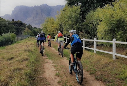 Franschhoek: E-bike Tour with Wine Tasting and Lunch