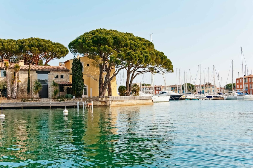Picture 2 for Activity From Nice: Saint-Tropez and Port Grimaud Day Tour