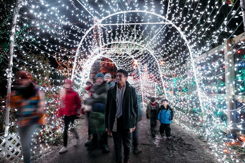 Vancouver Christmas Lights & Carol Karaoke Tour