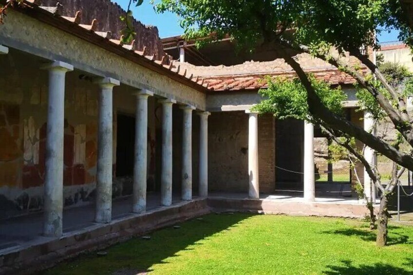 Oplontis Private Guided Tour by an Archaeologist