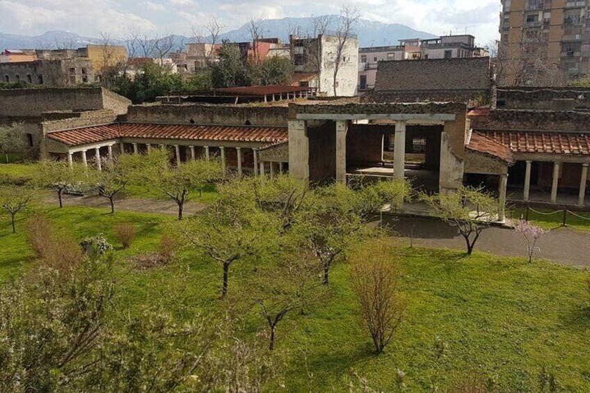 Oplontis Private Guided Tour by an Archaeologist