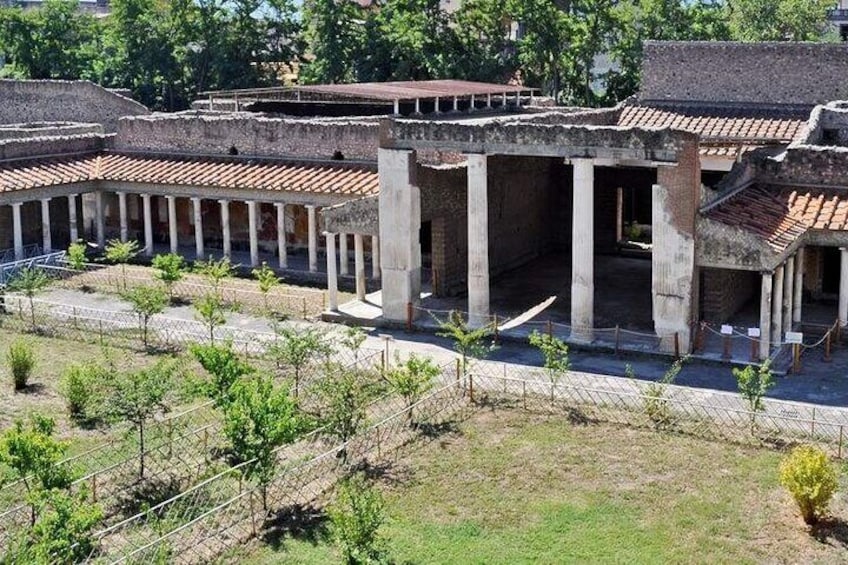 Oplontis Private Guided Tour by an Archaeologist