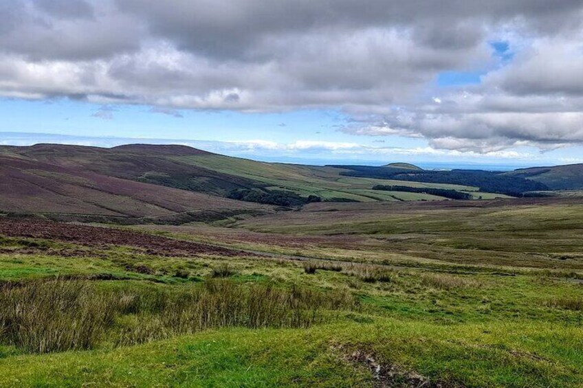 The Northern uplands with rolling green hills and Heather 