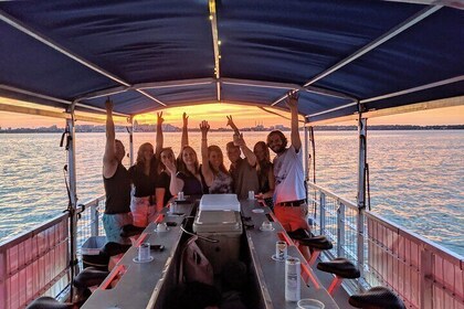 Clearwater Sunset Cruise and Dolphin Watch