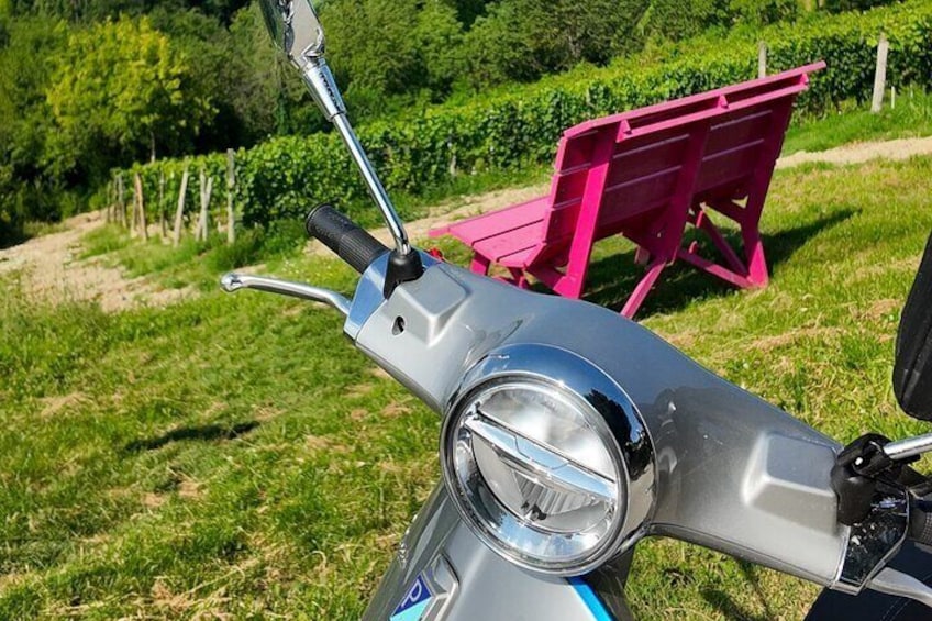 Vespa tour in the Langhe with winery visit and lunch