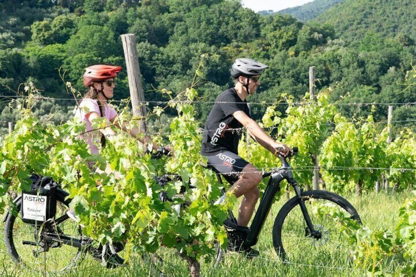 E-bike tour with tasting in the hills of Lucca