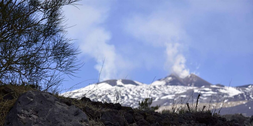 Picture 4 for Activity Catania: Etna Nature Tour with Hiking, Cave Visit, & Tasting