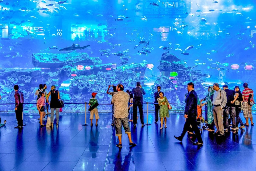 Picture 1 for Activity Dubai Aquarium, Underwater Zoo & Penguin Cove Experience
