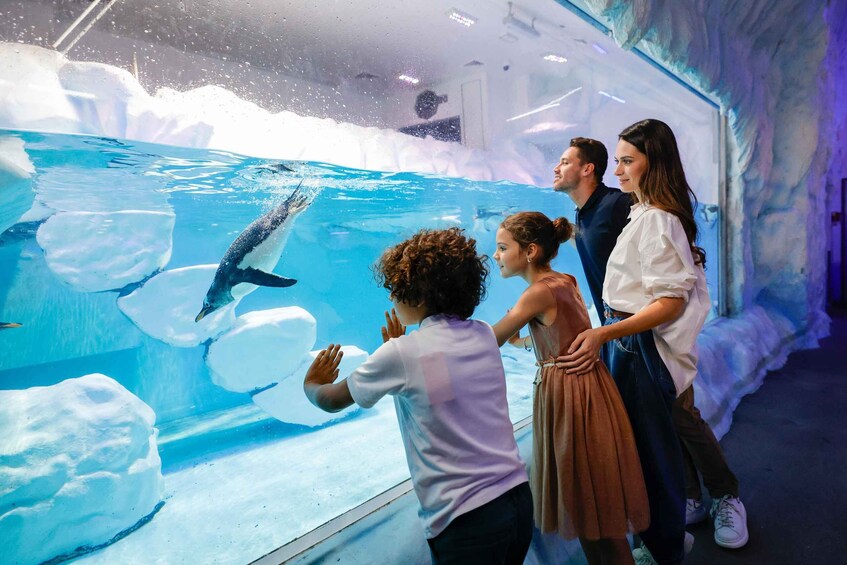 Picture 7 for Activity Dubai: Aquarium and Underwater Zoo Ticket and Penguin Cove