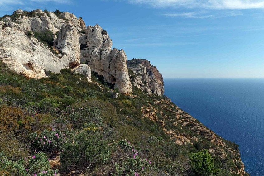 Picture 2 for Activity From Marseille: Cassis and Aix-en-Provence Tour