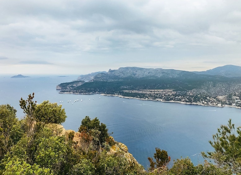 Picture 6 for Activity From Marseille: Cassis and Aix-en-Provence Tour