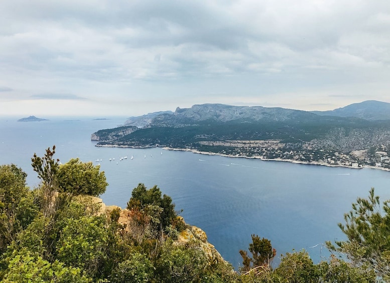 Picture 6 for Activity From Marseille: Cassis and Aix-en-Provence Tour