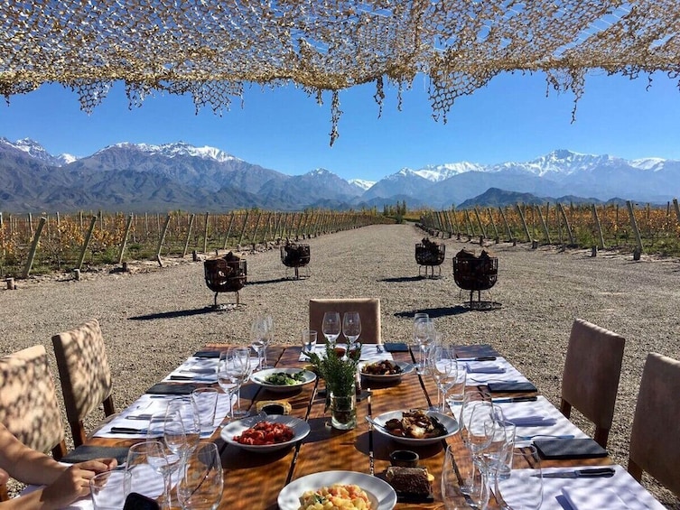 Mendoza: full day wineries Flavors of Maipú