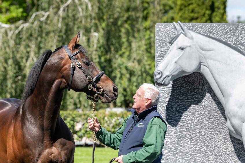 Kildare: Irish National Stud & Gardens