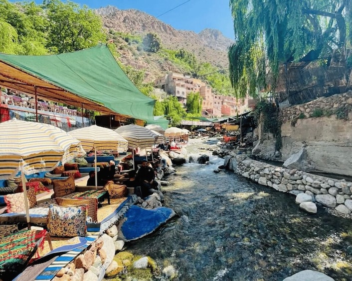 Picture 5 for Activity Marrakesh: Atlas Mountains, Ourika Valley, Waterfall / Guide