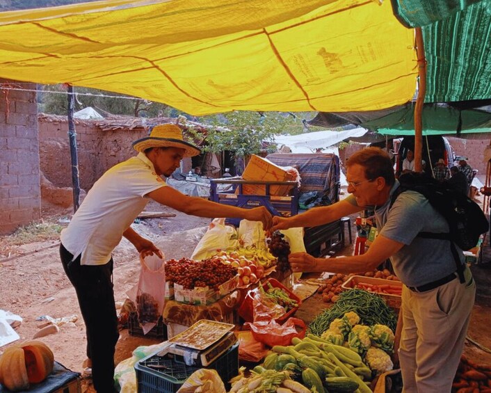 Picture 10 for Activity From Marrakesh: Ourika Valley & Atlas Mountains Day Tour