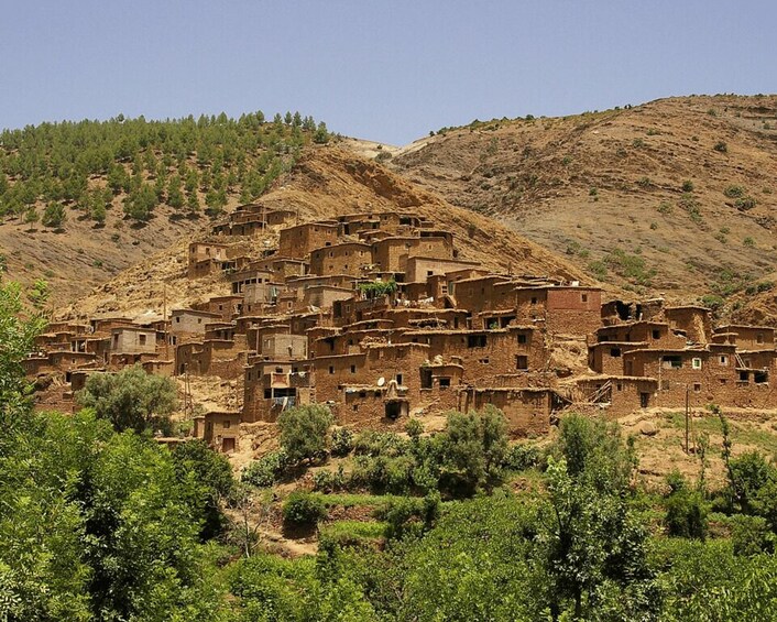 Picture 20 for Activity From Marrakesh: Ourika Valley & Atlas Mountains Day Tour