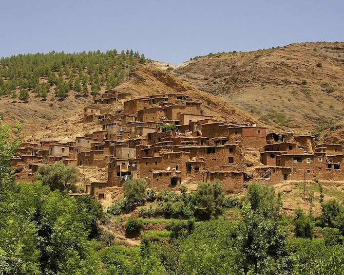 Picture 20 for Activity From Marrakesh: Ourika Valley & Atlas Mountains Day Tour