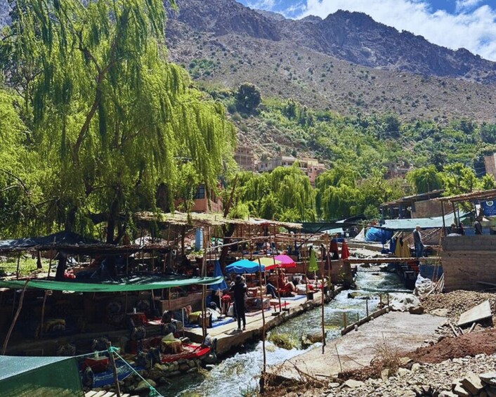 Picture 14 for Activity From Marrakesh: Ourika Valley & Atlas Mountains Day Tour