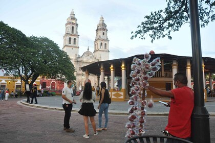 Campeche: Highlights, Museums and City centre Tour