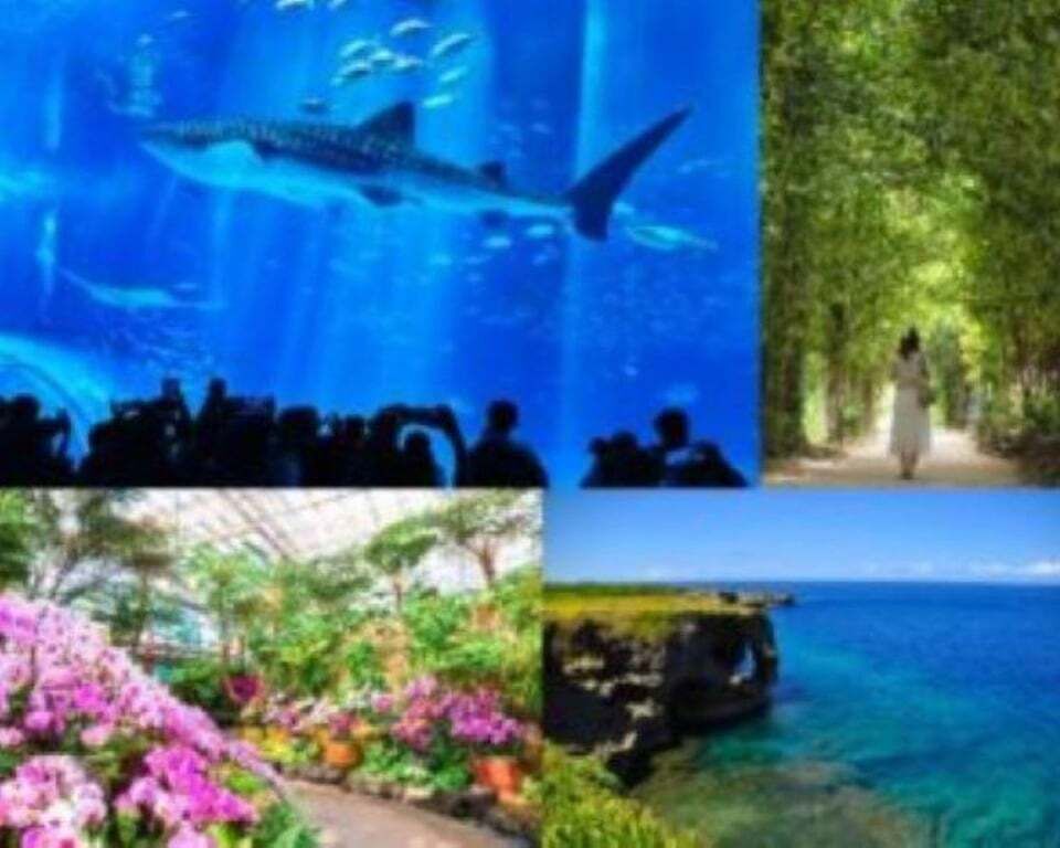 Churaumi Aquarium, Cape Manzamo, American Village