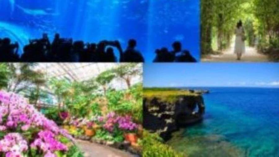 Churaumi Aquarium, Cape Manzamo, American Village