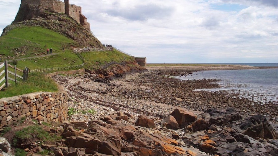 From Edinburg: Viking Coast & Alnwick Castle Day Tour