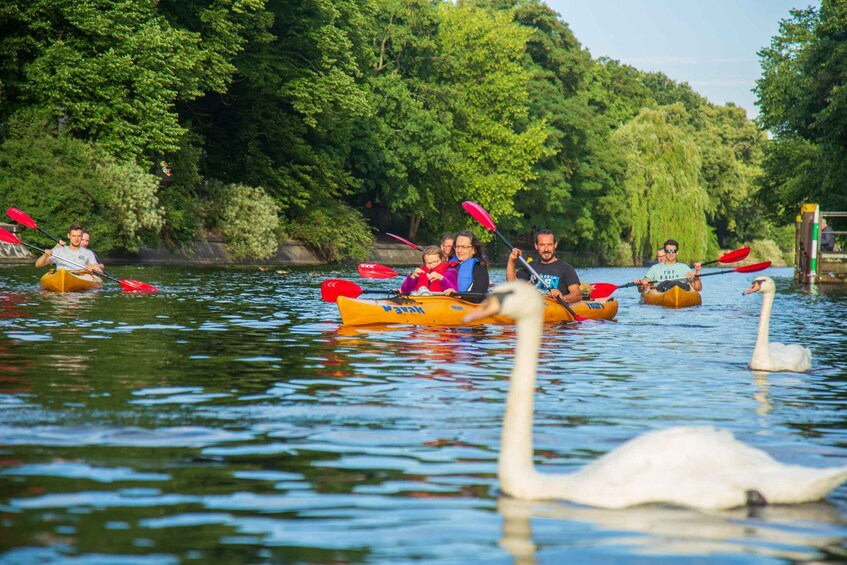 Picture 3 for Activity Berlin: Kayaking Tour Through East Berlin