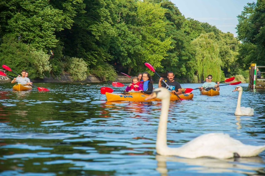 Picture 3 for Activity Berlin: Kayaking Tour Through East Berlin
