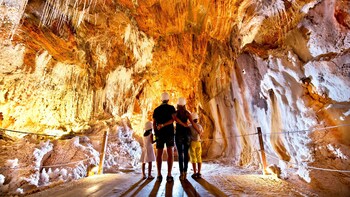 Full-Day Tour to Cardona & Montserrat with Brunch