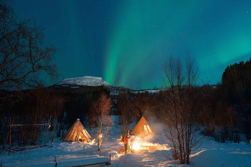 Picture 2 for Activity Chasing the dancing aurora in our winter camp in Harstad