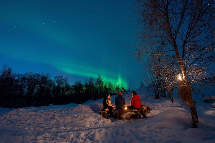 Chasing the dancing aurora in our winter camp in Harstad