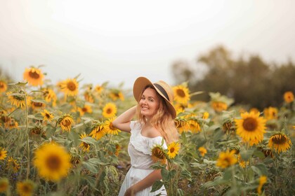 Temporada de girasoles en la bodega Tenuta Torciano