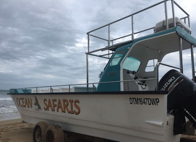 Plettenberg Bay: Whale Watching Boat Cruise
