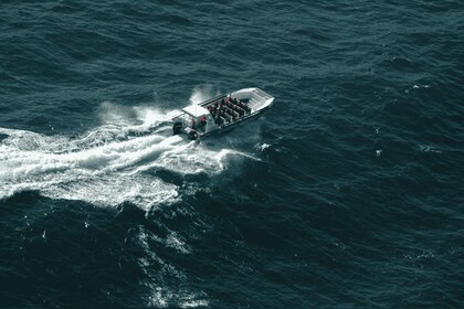 Baie de Plettenberg : Croisière en bateau d’observation des baleines