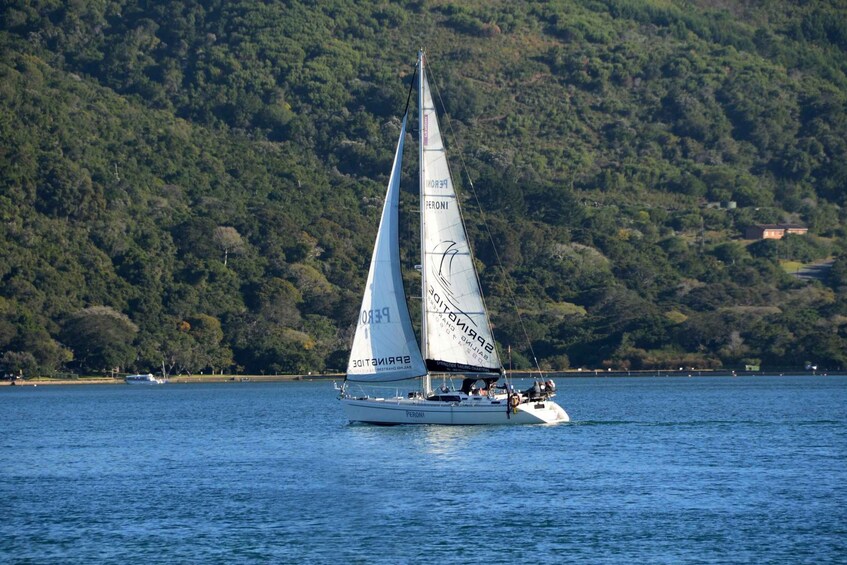 Picture 6 for Activity Knysna: 2.5-Hour Day Sail & Lunch Charter