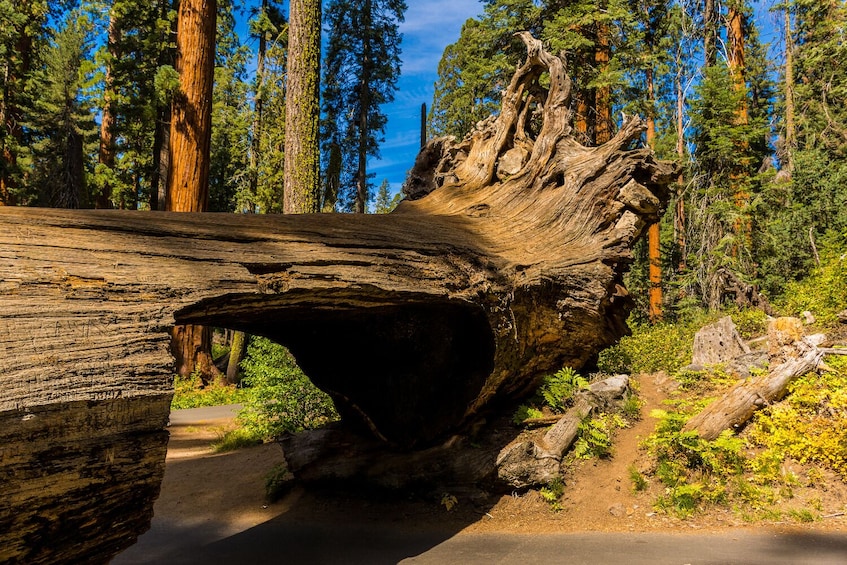 10 Self-Guided Driving Tours from Las Vegas Via App