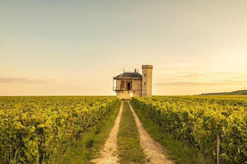 Private day tour to Côte de Nuits and Côte de Beaune