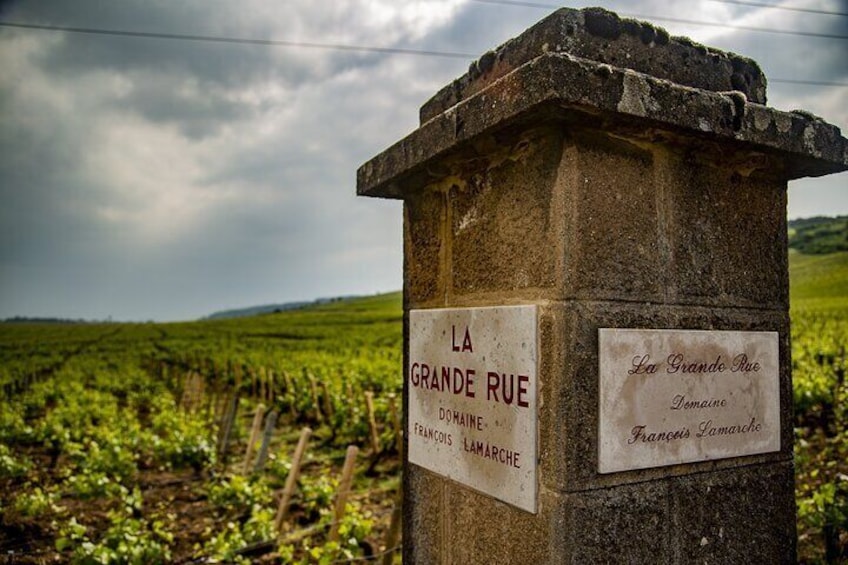 Private day tour to Côte de Nuits and Côte de Beaune